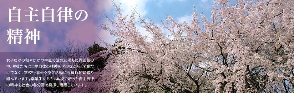 爱游戏体育最新官网下载官网