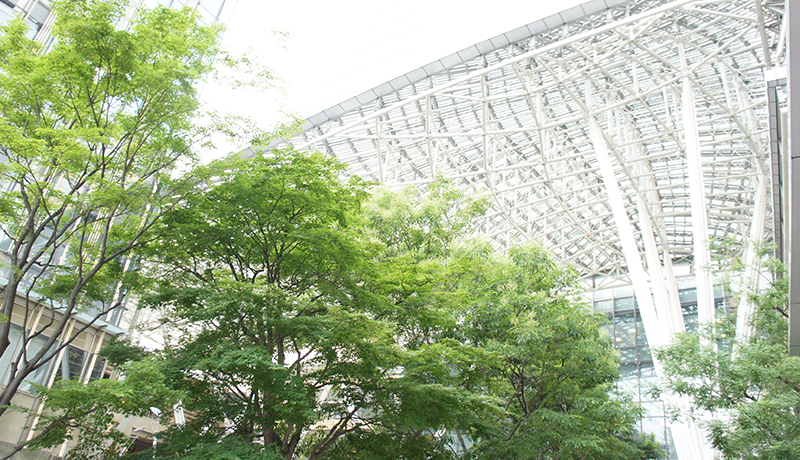 乐鱼下载链接 自ら神殿の存在を疑った若い世代の指導者たちも